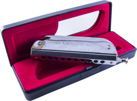 gaita orleans cathedral cromatica 40 vozes