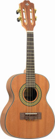cavaquinho strinberg cs25 mgs