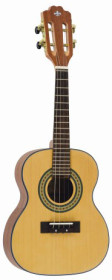 cavaquinho strinberg cs25 ns
