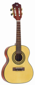 cavaquinho strinberg cs25 n