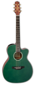 violao takamine ltd2025 & ctf2n c/ semi-case