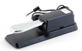pedal sustain concert cs20