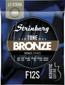 encord strinberg violao 12 cordas f12s