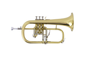 flughelhorn vivace vfg20
