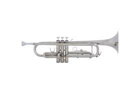 trompete vivace vtr120 bb