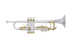 trompete vivace vtr160 bb